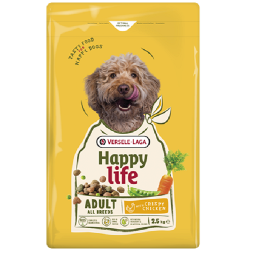 ADULT - Toutes Races - Poulet