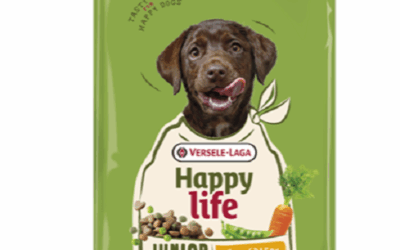 JUNIOR – Toutes Races – Poulet