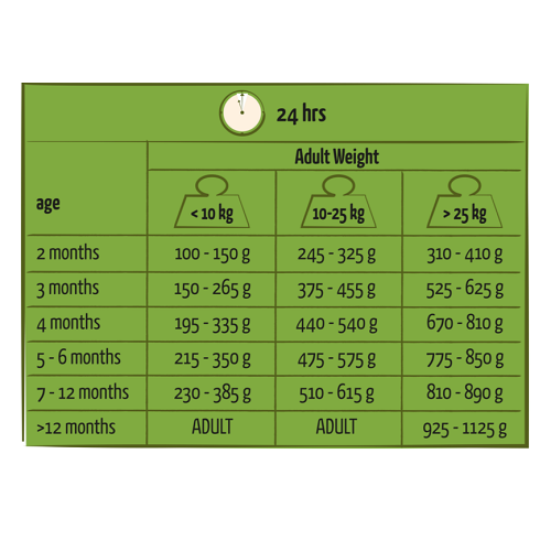 JUNIOR - Toutes Races - Poulet – Image 3
