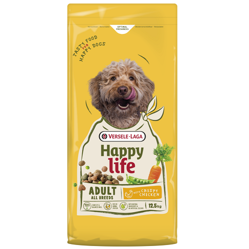 ADULT - Toutes Races - Poulet – Image 2