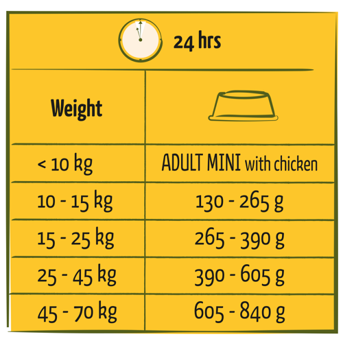 ADULT - Toutes Races - Poulet – Image 3