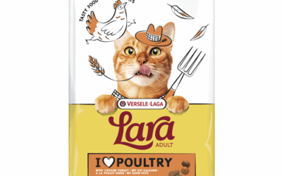 ADULT Dinde & Poulet