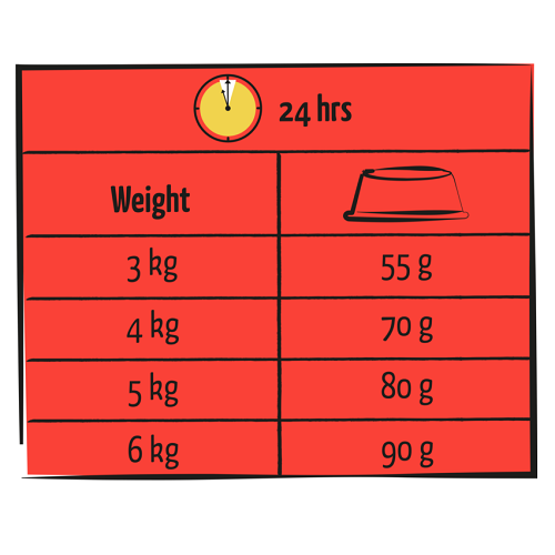 ADULT Boeuf – Image 3