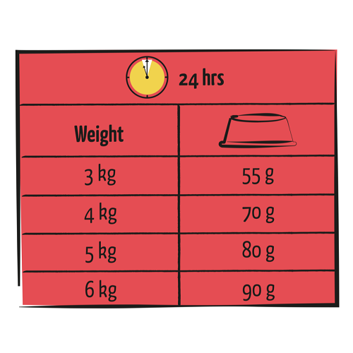 ADULT Agneau – Image 3