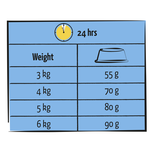 ADULT Saumon – Image 3