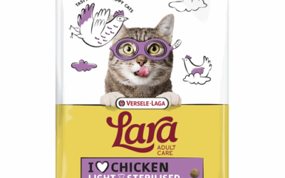 ADULT Chat Stérilisé – Light