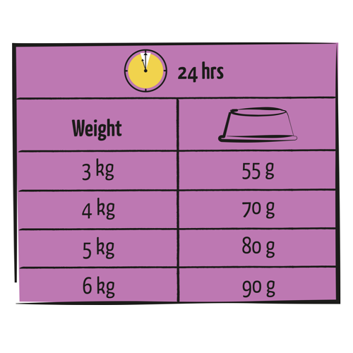 ADULT Chat Stérilisé - Light – Image 3