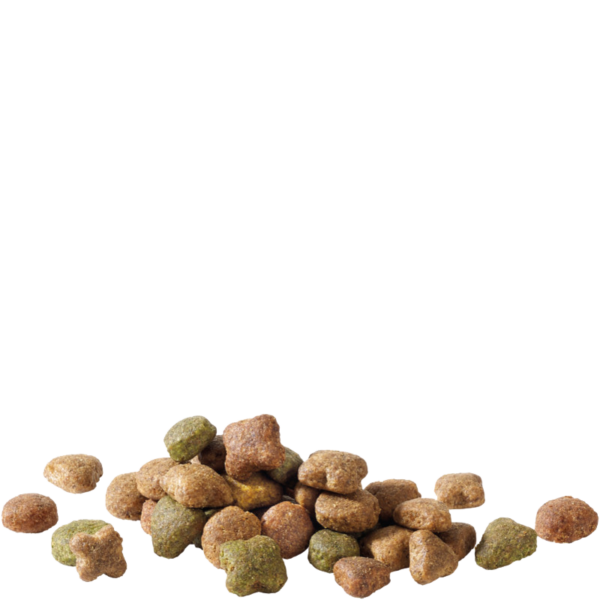 ADULT Boeuf – Image 2