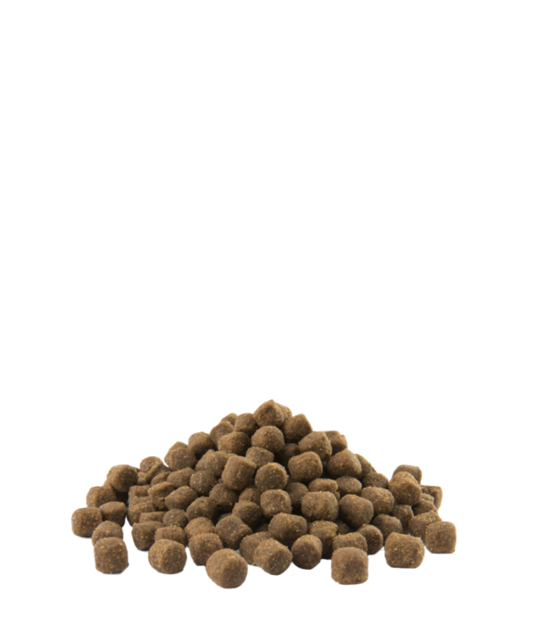 ADULT Digestion MINI – Image 2