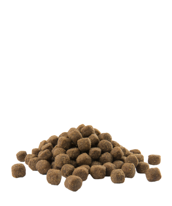 ADULT MEDIUM – Image 2