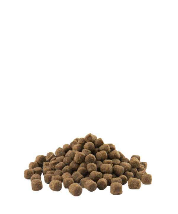 ADULT MINI – Image 2