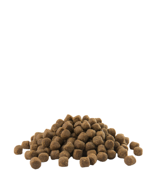 PUPPY MEDIUM – Image 2