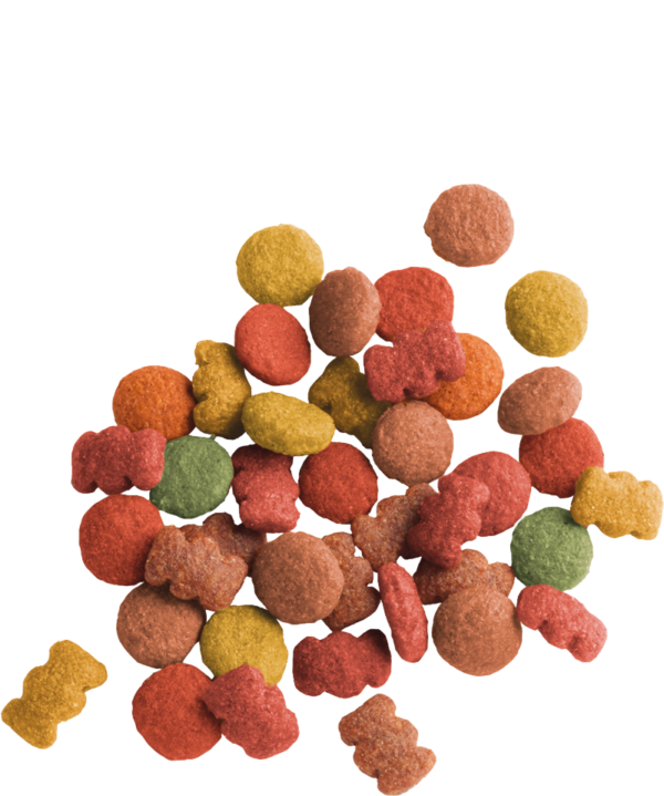 ADULT Agneau – Image 3