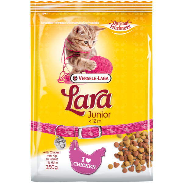 JUNIOR