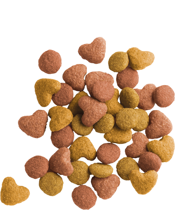 SENIOR – Image 3