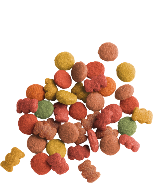 ADULT Boeuf – Image 3