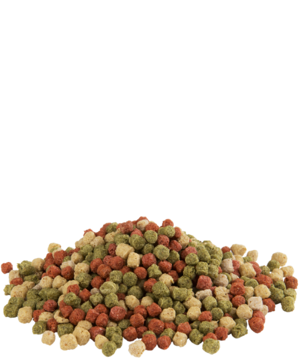 FISHLIX Allround – Image 2