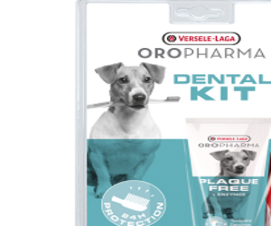 DENTIFRICE et Brosse à Dent