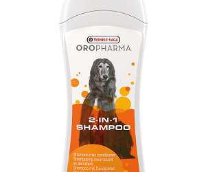 SHAMPOING 2 en 1