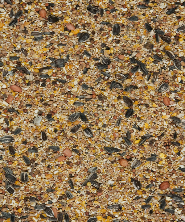 4 SAISONS – Image 3