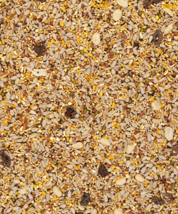 CLEAN Garden Blend – Image 2