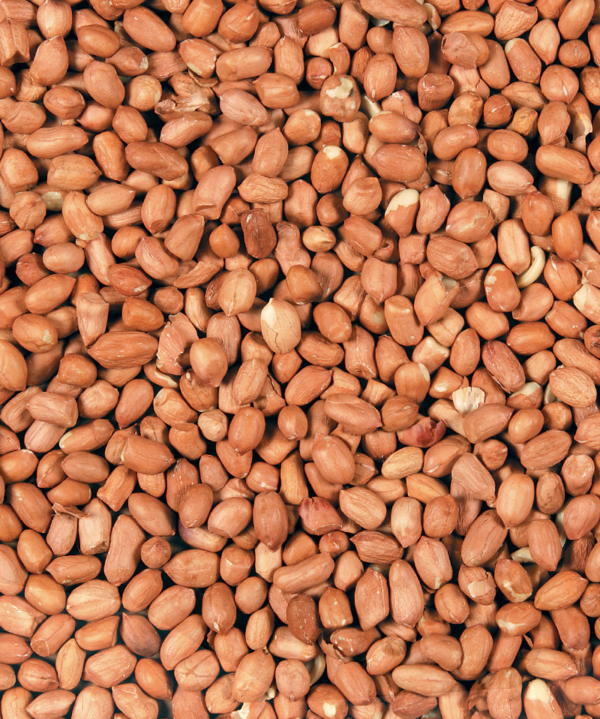 CACAHUETES Décortiquées