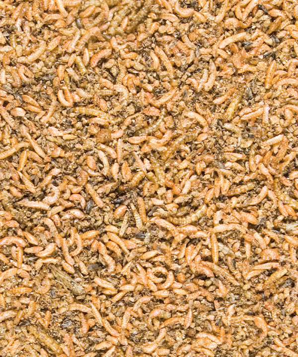 INSECT Mix