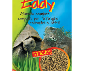 EDDY