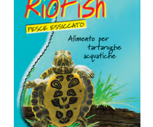 RIO FISH