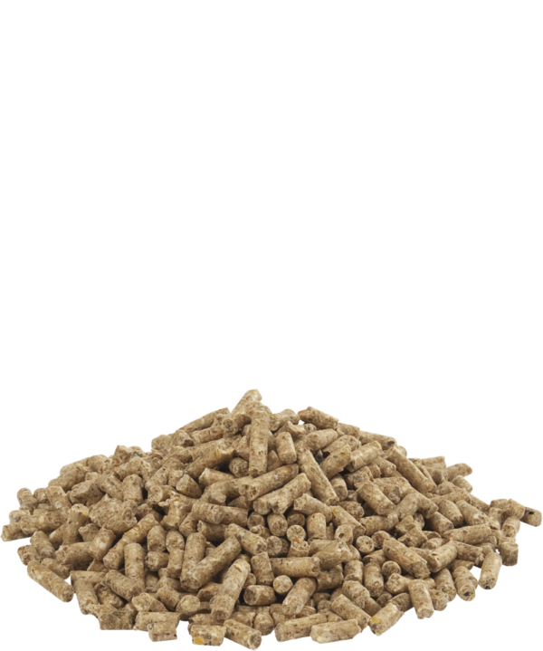 GOLD 4 Gallico Pellet – Image 2