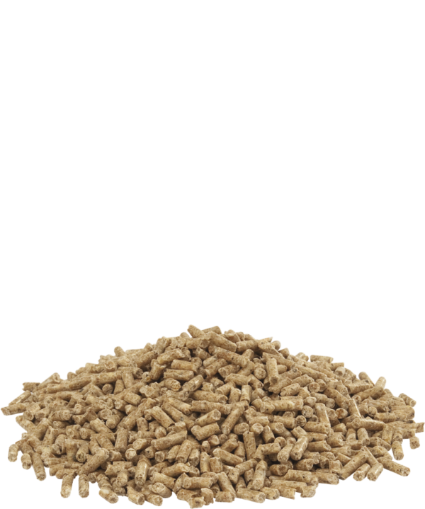 SHOW 3 Pellet – Image 2