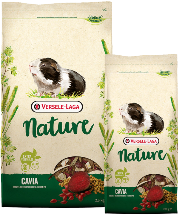 NATURE Cochons d'Inde – Image 2