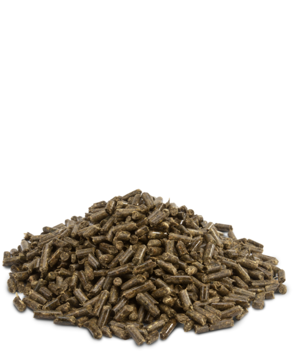 CRISPY Pellets Chinchilla & Octodons – Image 2
