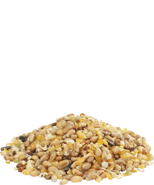 GRA-MIX Mélange pour Poules d'Ardennes – Image 2