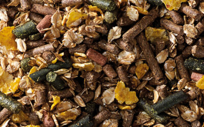 CAVALOR Tradition Mix