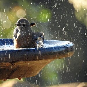 Baignoires