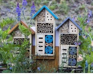 HOTEL à Insectes