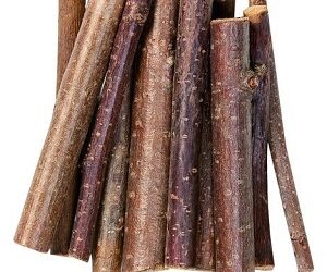 BOIS à Ronger