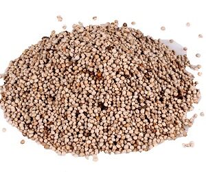 PERILLA Blanc