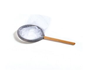 EPUISETTE