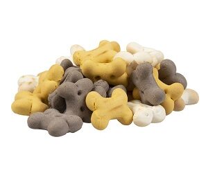 BISCUIT Os Petit Modèle
