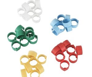 BAGUE en Plastique