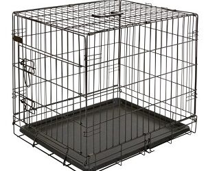 CAGE de Transport