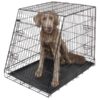 CAGE de Transport