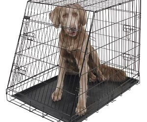 CAGE de Transport