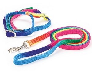 HARNAIS « Rainbow »