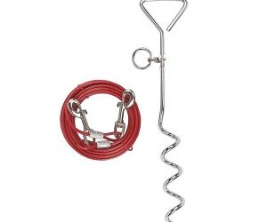 LAISSE d&rsquo;Attache avec Ancrage