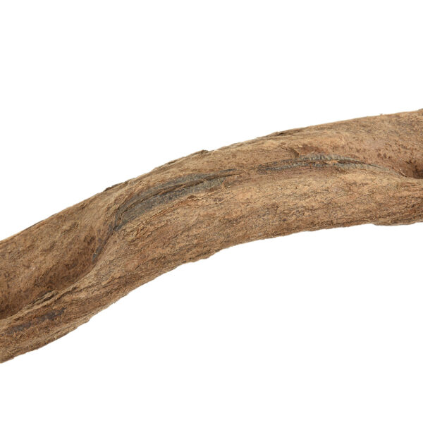 PERCHOIR Liane – Image 5