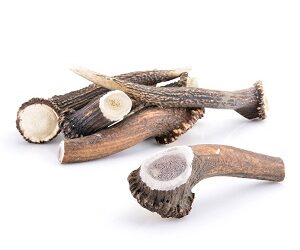 BOIS de Cerf