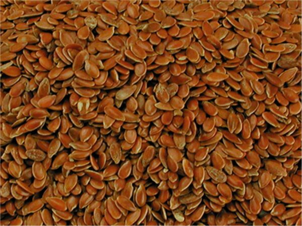 GRAINES de Lin